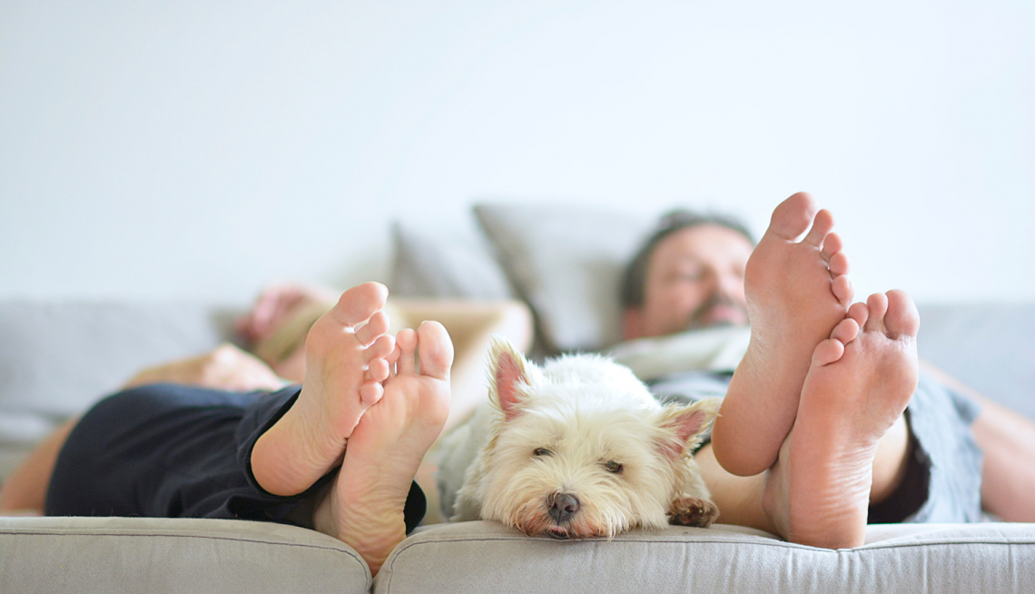 couple avec un chien alongés dans le canapé