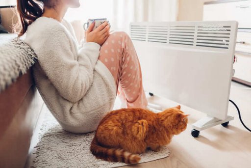 femme et chat devant radiateur electrique