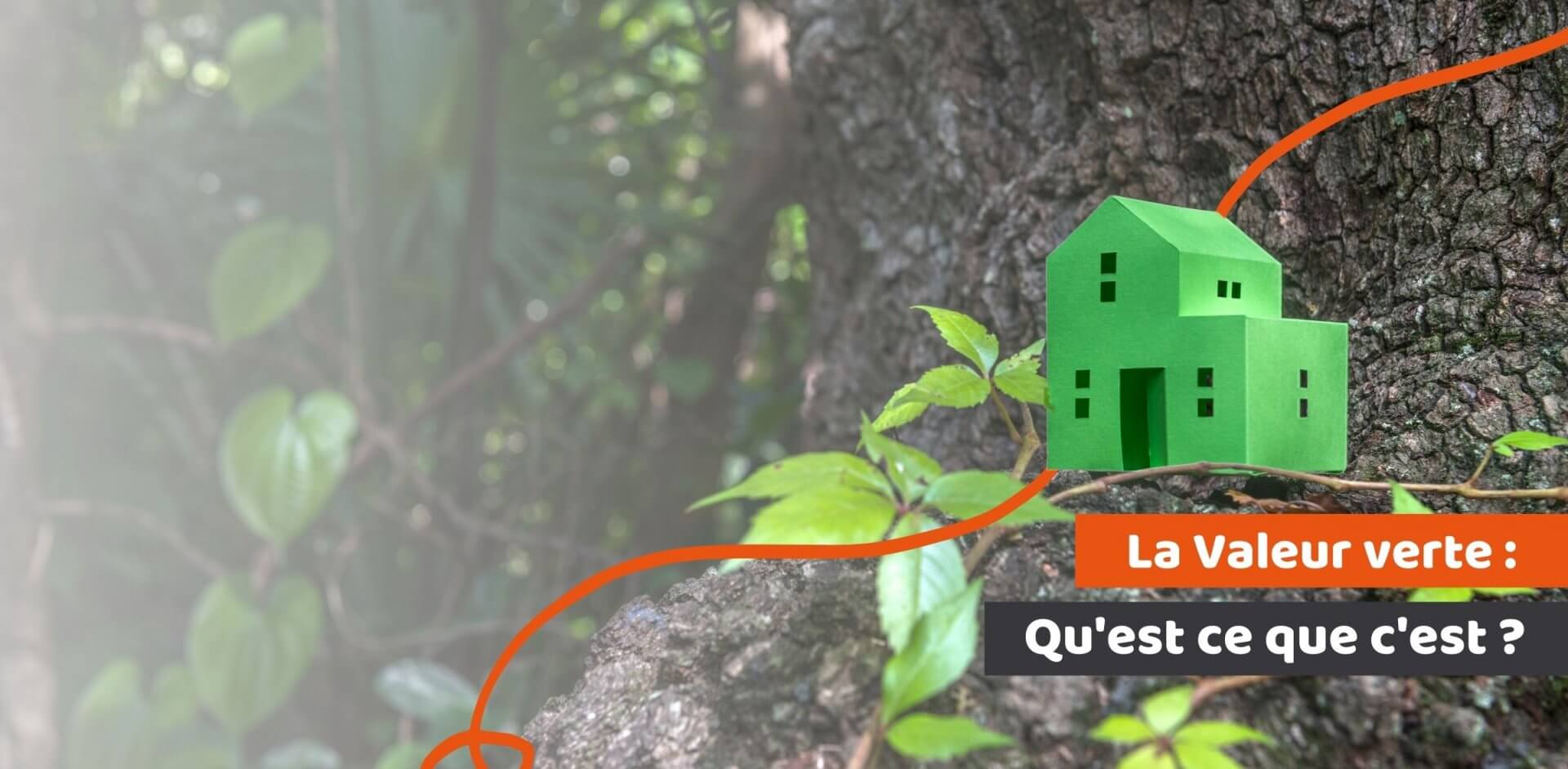 maison verte en papier déposée sur un arbre