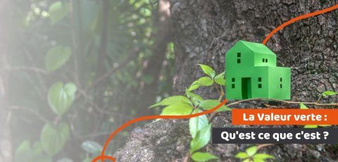 maison verte en papier déposée sur un arbre