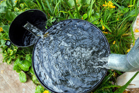 eau de pluie, récupération pour le jardinage